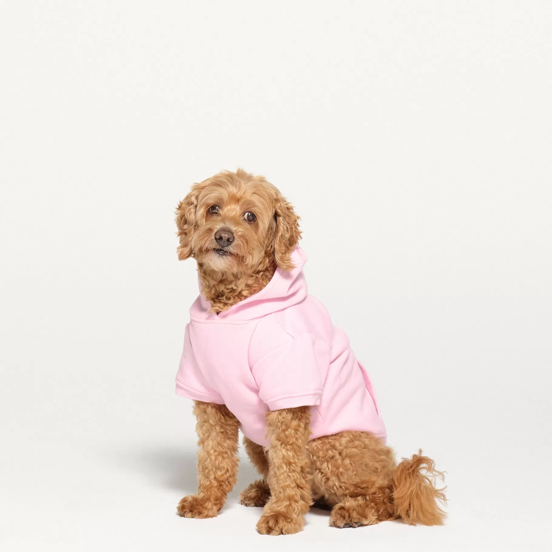 Skims accessories*COTTON FLEECE PET HOODIE | BABY PINK BABY+PINK